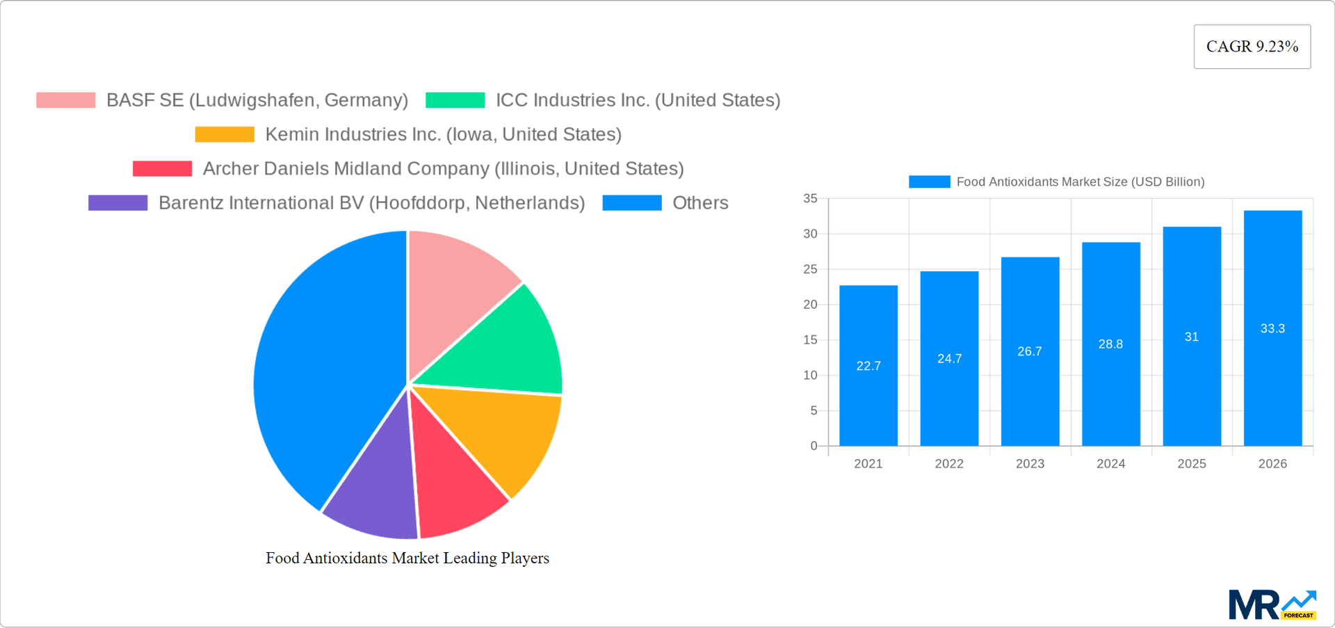 Food Antioxidants Market Research Report - Market Overview and Key Insights