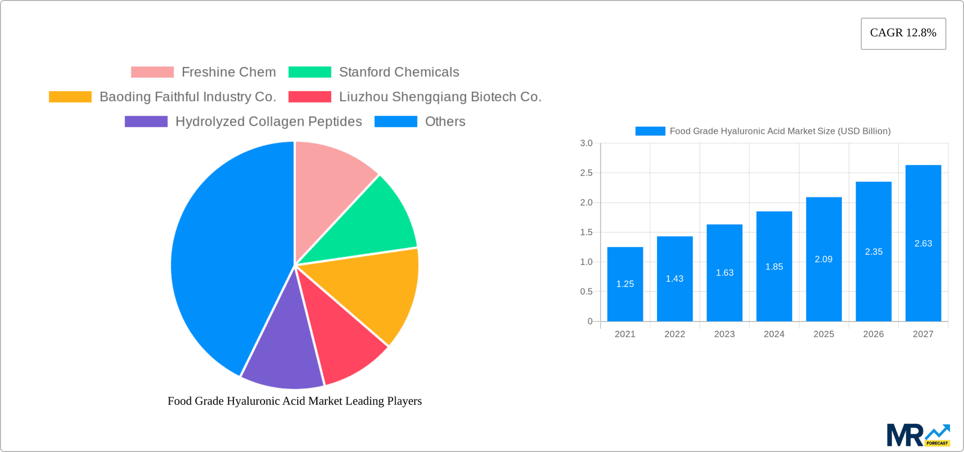 Food Grade Hyaluronic Acid Market Research Report - Market Overview and Key Insights