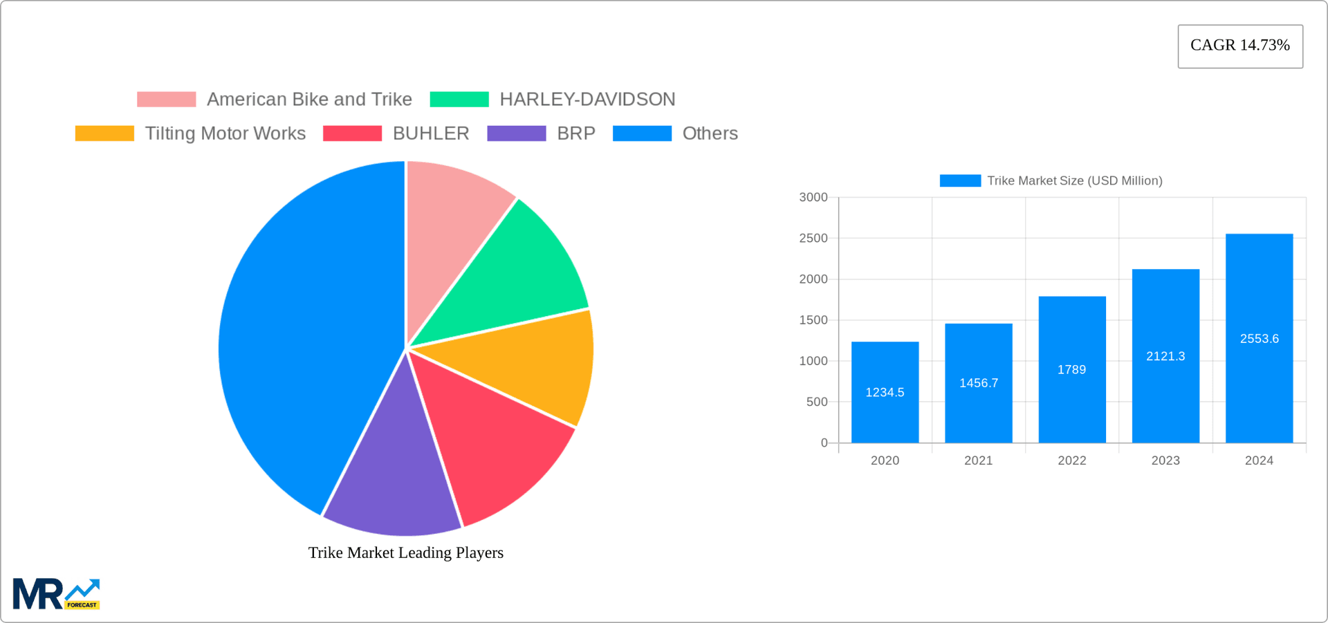 Trike Market Research Report - Market Overview and Key Insights