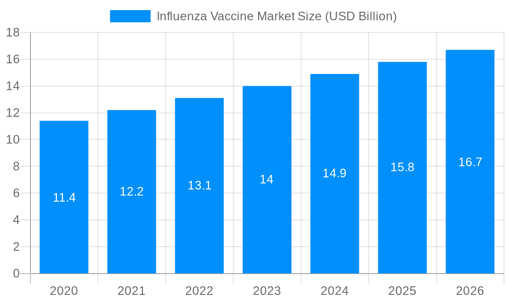 Influenza Vaccine Market Market Size and Forecast (2024-2030)
