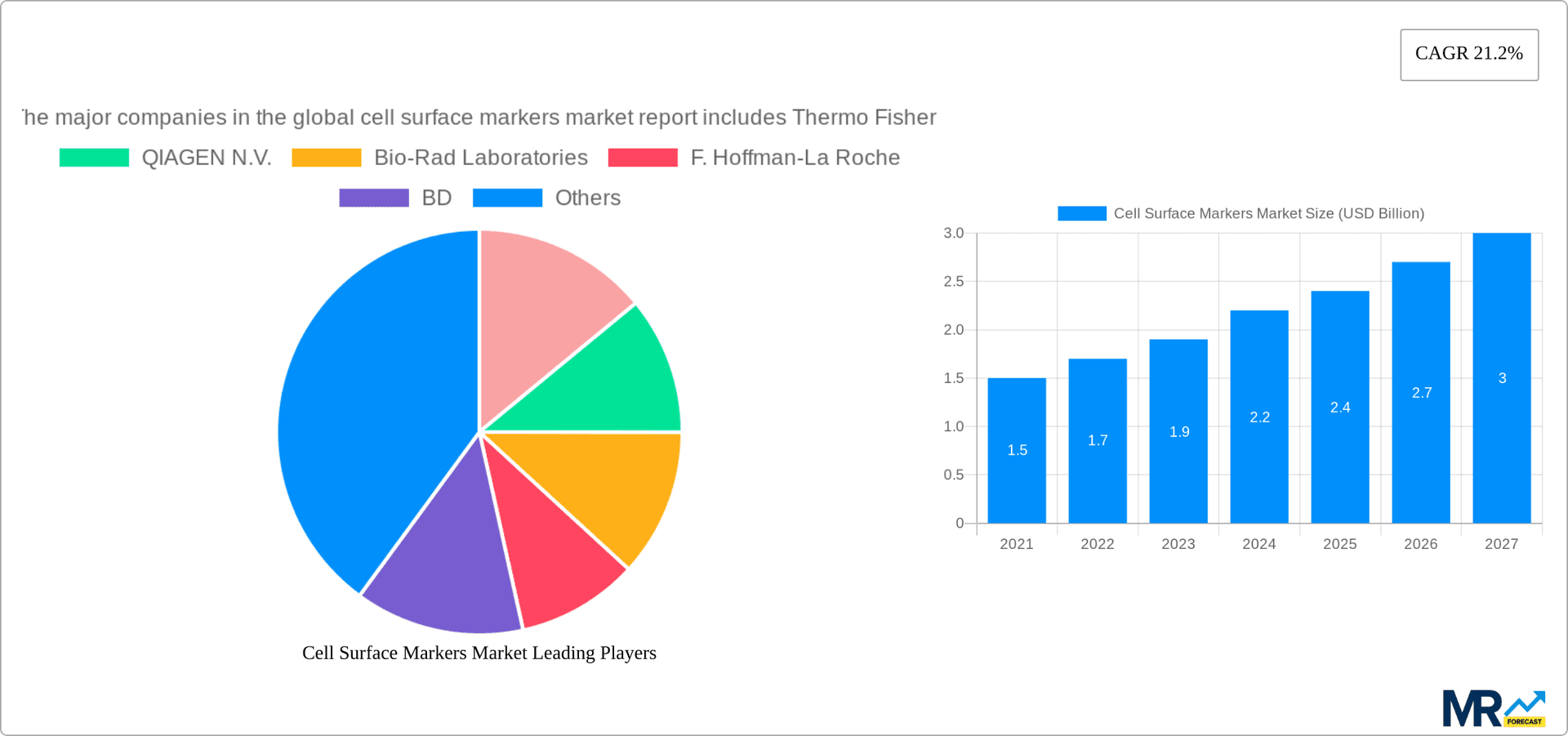 Cell Surface Markers Market Research Report - Market Overview and Key Insights