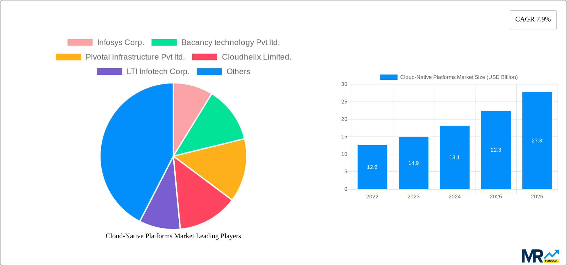 Cloud-Native Platforms Market Research Report - Market Overview and Key Insights