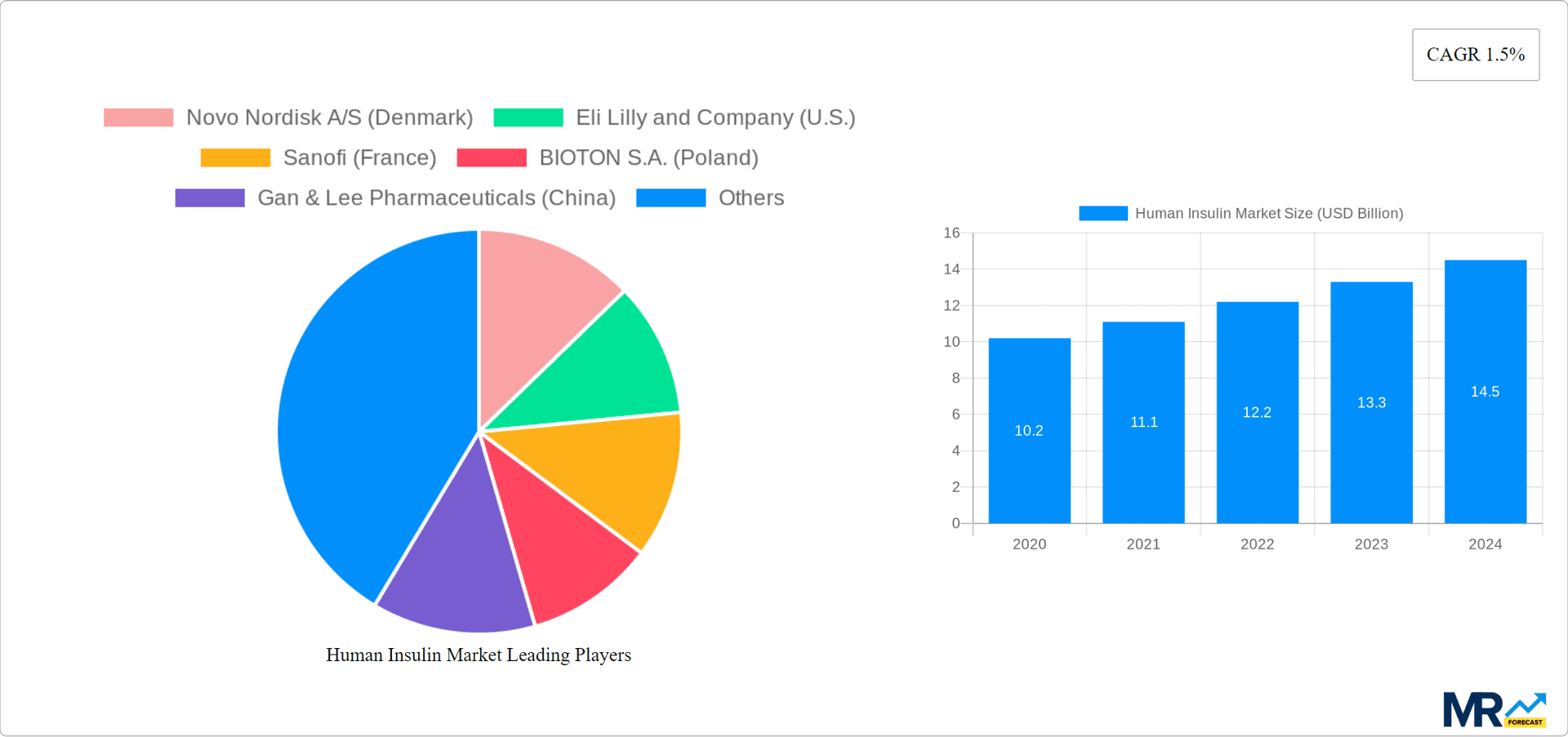 Human Insulin Market Research Report - Market Overview and Key Insights