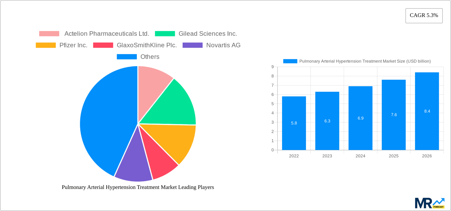 Pulmonary Arterial Hypertension Treatment Market Research Report - Market Overview and Key Insights