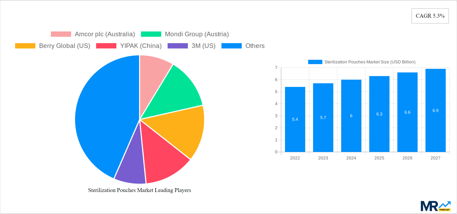 Sterilization Pouches Market Research Report - Market Overview and Key Insights