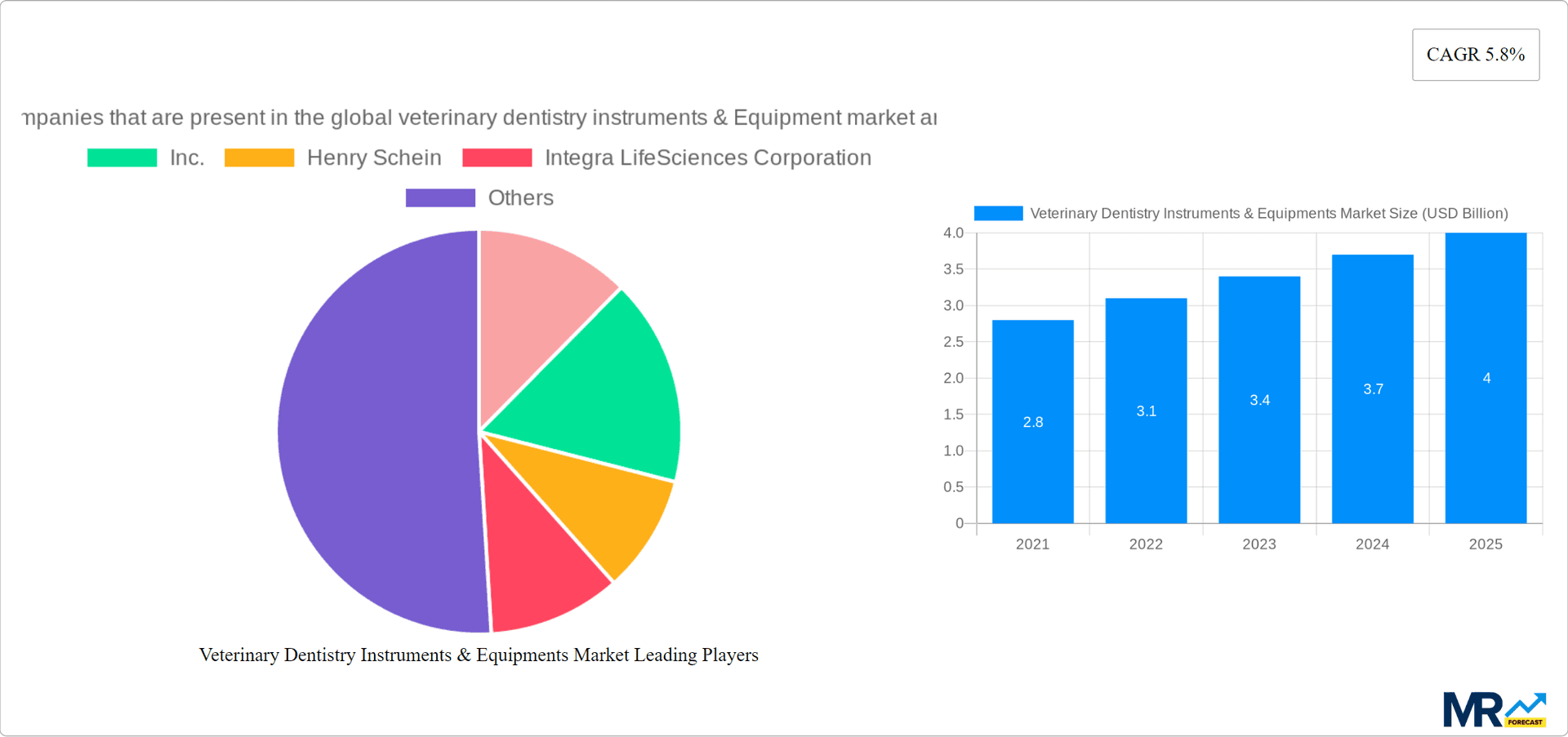 Veterinary Dentistry Instruments & Equipments Market Research Report - Market Overview and Key Insights