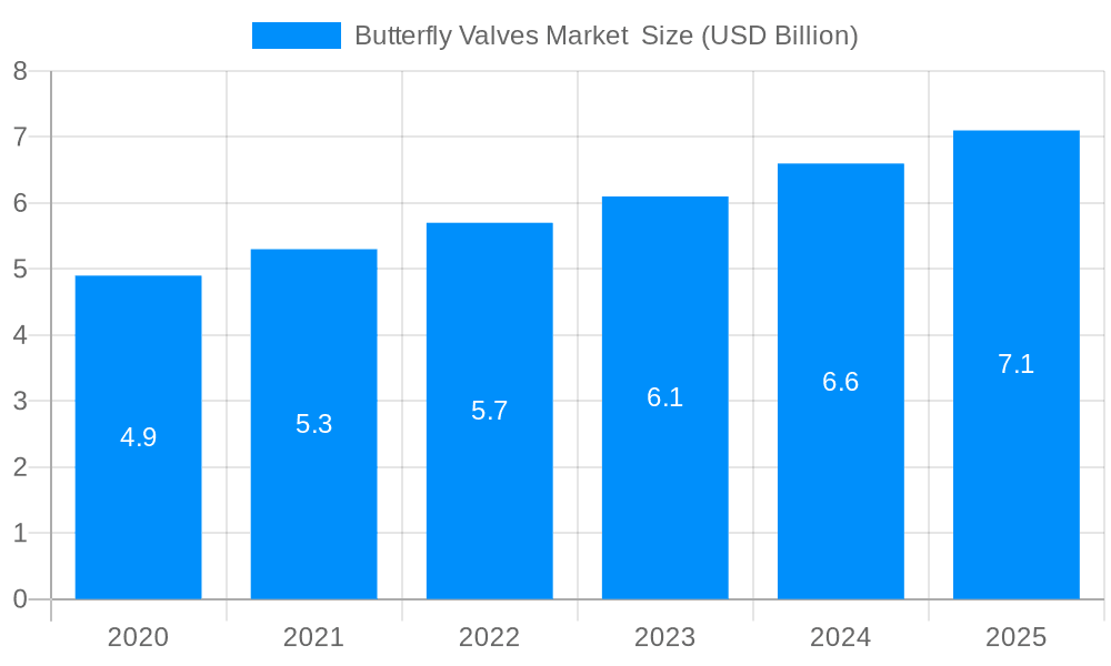 Butterfly Valves Market Market Size and Forecast (2024-2030)